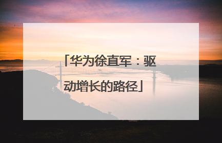 华为徐直军：驱动增长的路径