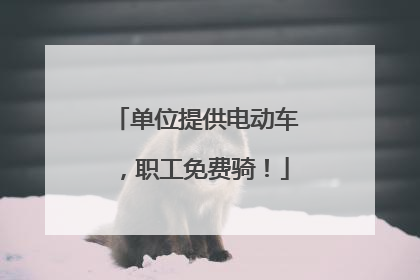 单位提供电动车，职工免费骑！