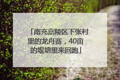 南充嘉陵区下张村里的龙舟赛，40亩的堰塘里来回跑