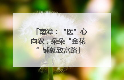 南漳：“医”心向农，朵朵“金花”铺就致富路
