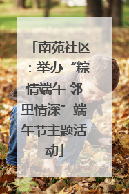 南苑社区：举办“粽情端午 邻里情深”端午节主题活动
