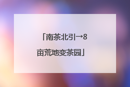南茶北引→8亩荒地变茶园