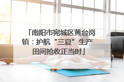 南阳市宛城区黄台岗镇：护航“三夏”生产 田间抢收正当时