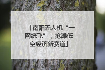南阳无人机“一网统飞”，抢滩低空经济新赛道