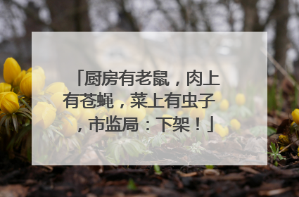厨房有老鼠，肉上有苍蝇，菜上有虫子，市监局：下架！