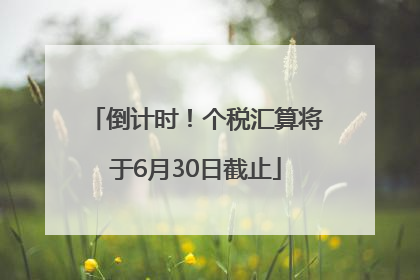 倒计时！个税汇算将于6月30日截止