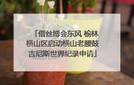 借丝博会东风 榆林横山区启动横山老腰鼓吉尼斯世界纪录申请