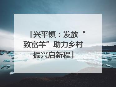 兴平镇：发放“致富羊”助力乡村振兴启新程