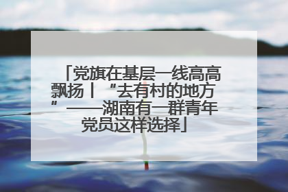 党旗在基层一线高高飘扬丨“去有村的地方”——湖南有一群青年党员这样选择