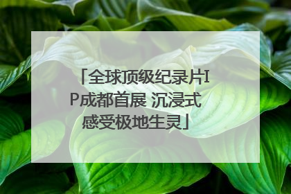 全球顶级纪录片IP成都首展 沉浸式感受极地生灵