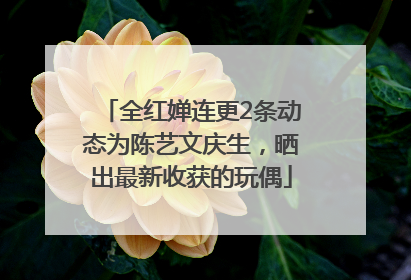 全红婵连更2条动态为陈艺文庆生，晒出最新收获的玩偶