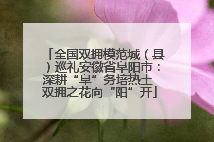 全国双拥模范城（县）巡礼安徽省阜阳市：深耕“阜”务培热土 双拥之花向“阳”开