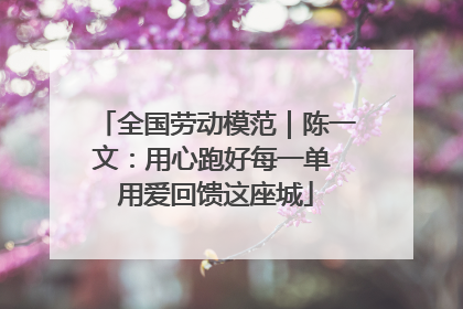 全国劳动模范｜陈一文：用心跑好每一单 用爱回馈这座城