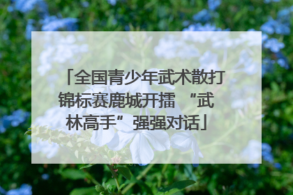 全国青少年武术散打锦标赛鹿城开擂 “武林高手”强强对话