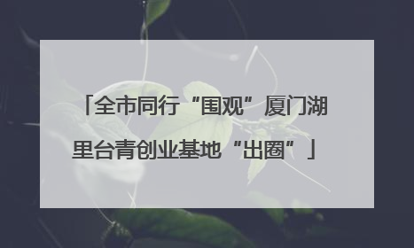 全市同行“围观”厦门湖里台青创业基地“出圈”