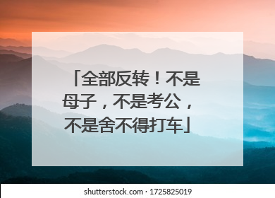 全部反转！不是母子，不是考公，不是舍不得打车