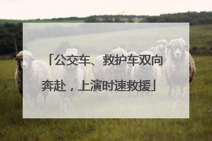 公交车、救护车双向奔赴，上演时速救援