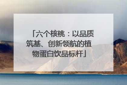 六个核桃：以品质筑基、创新领航的植物蛋白饮品标杆