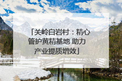 关岭白岩村：精心管护黄精基地 助力产业提质增效