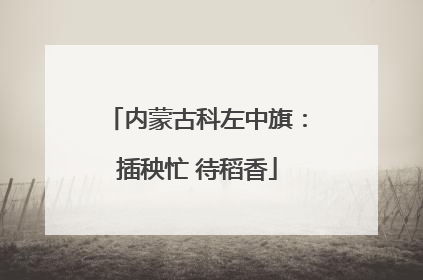 内蒙古科左中旗：插秧忙 待稻香