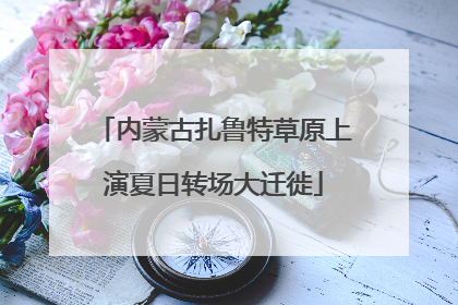 内蒙古扎鲁特草原上演夏日转场大迁徙