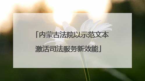 内蒙古法院以示范文本激活司法服务新效能