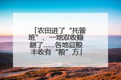 农田进了“托管班”、一地双收赚翻了……各地夏粮丰收有“粮”方