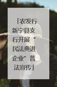 农发行新宁县支行开展“民法典进企业”普法宣传