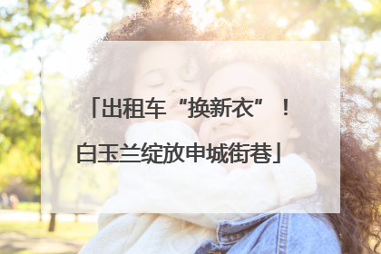出租车“换新衣”！白玉兰绽放申城街巷