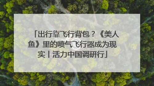 出行靠飞行背包？《美人鱼》里的喷气飞行器成为现实丨活力中国调研行