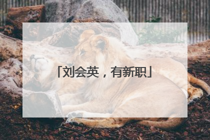 刘会英，有新职