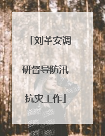 刘革安调研督导防汛抗灾工作