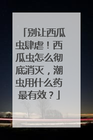 别让西瓜虫肆虐！西瓜虫怎么彻底消灭，潮虫用什么药最有效？