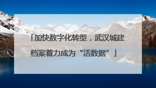 加快数字化转型，武汉城建档案着力成为“活数据”