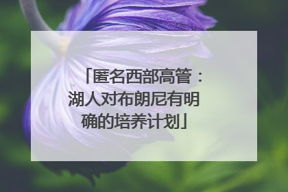 匿名西部高管：湖人对布朗尼有明确的培养计划