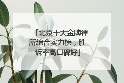 北京十大金牌律所综合实力榜，胜诉率高口碑好