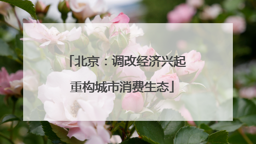 北京：调改经济兴起 重构城市消费生态
