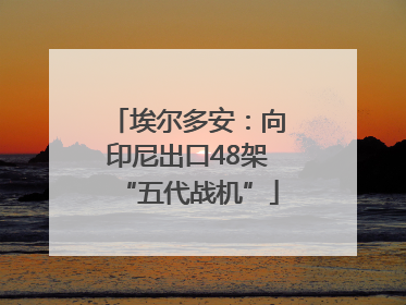 埃尔多安：向印尼出口48架“五代战机”