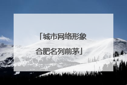 城市网络形象合肥名列前茅