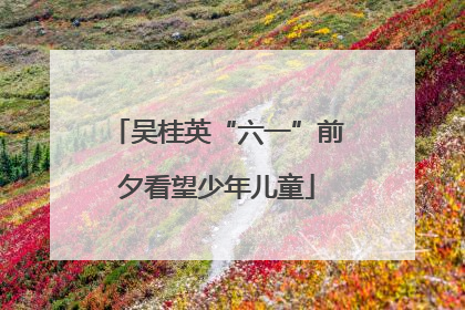 吴桂英“六一”前夕看望少年儿童