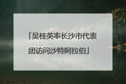 吴桂英率长沙市代表团访问沙特阿拉伯