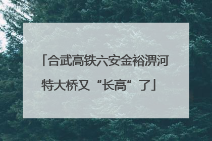 合武高铁六安金裕淠河特大桥又“长高”了