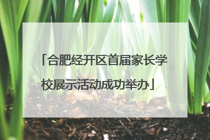 合肥经开区首届家长学校展示活动成功举办