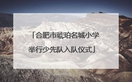 合肥市琥珀名城小学举行少先队入队仪式
