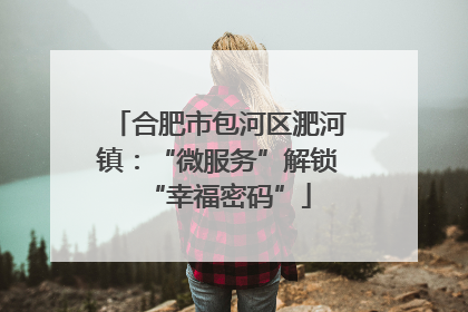 合肥市包河区淝河镇：“微服务”解锁“幸福密码”