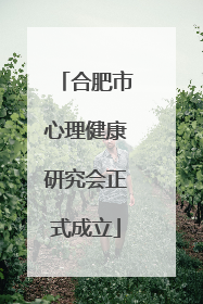 合肥市心理健康研究会正式成立