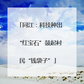 同江：科技种出“红宝石”鼓起村民“钱袋子”