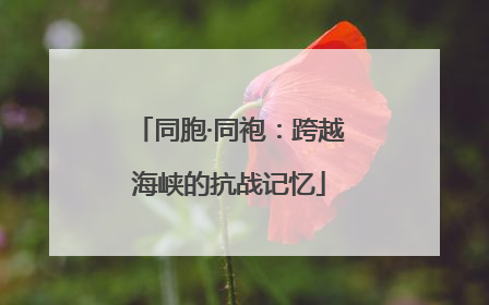 同胞·同袍：跨越海峡的抗战记忆