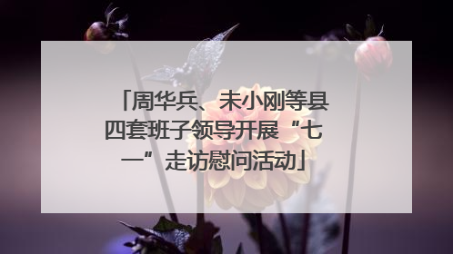 周华兵、未小刚等县四套班子领导开展“七一”走访慰问活动