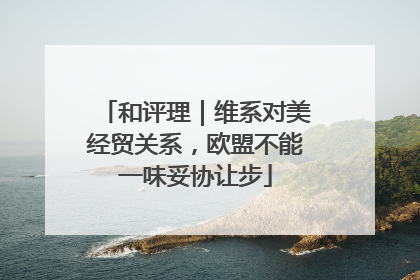和评理｜维系对美经贸关系，欧盟不能一味妥协让步